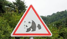 Fauna News
