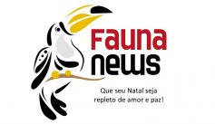 Fauna News