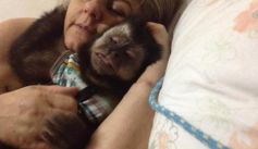 Fauna News