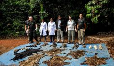 Fauna News