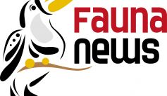 Fauna News