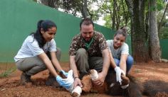 Fauna News