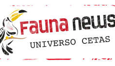 Fauna News