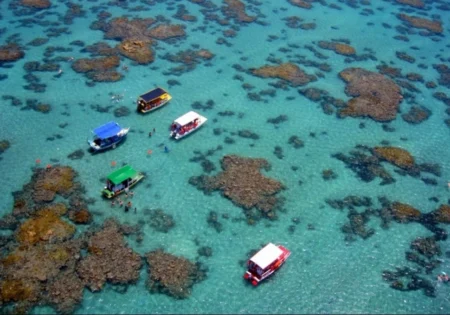FAUNA NEWS - Estética e conservação: Nordeste tem os mais belos recifes do Brasil