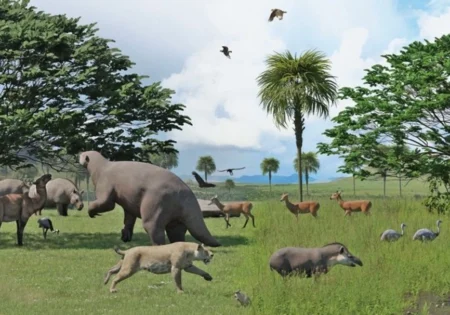 FAUNA NEWS - Extinção de megafauna reorganizou ecossistemas terrestres