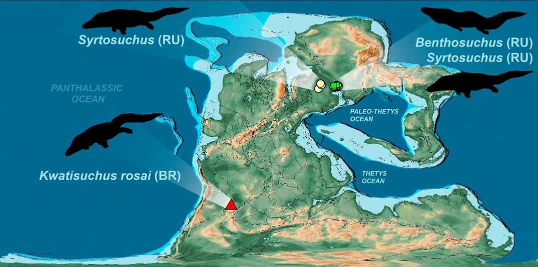 FAUNA NEWS - Novo fóssil do Triássico do RS aumenta a diversidade faunística para o período e mostra conexão com espécies da Rússia