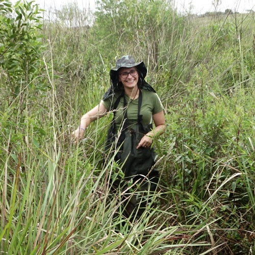 FAUNA NEWS - Tesoura-do-brejo: a sentinela pela conservação das áreas úmidas
