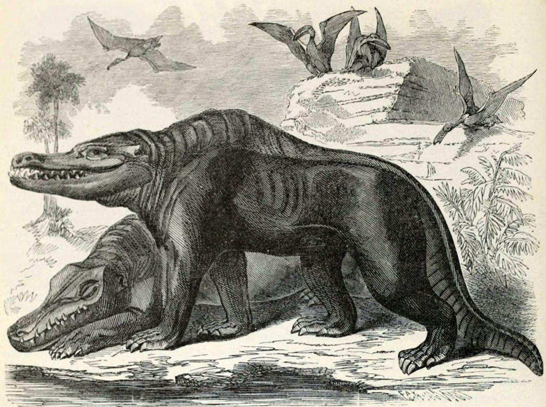 FAUNA NEWS - Megalosaurus: nomeação do primeiro dinossauro completa 200 anos