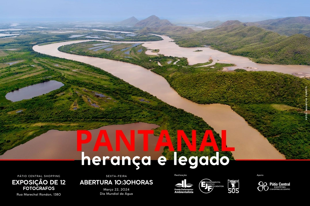 FAUNA NEWS Campo grande recebe exposição sobre Pantanal