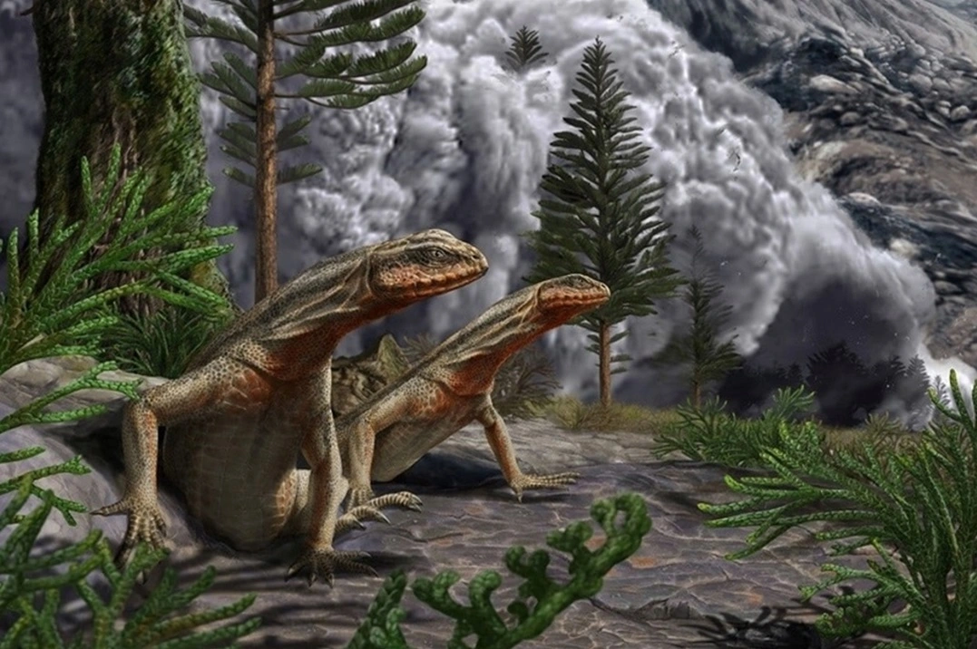 FAUNA NEWS Falsificações de fósseis e o papel das tecnologias modernas na exposição da verdade