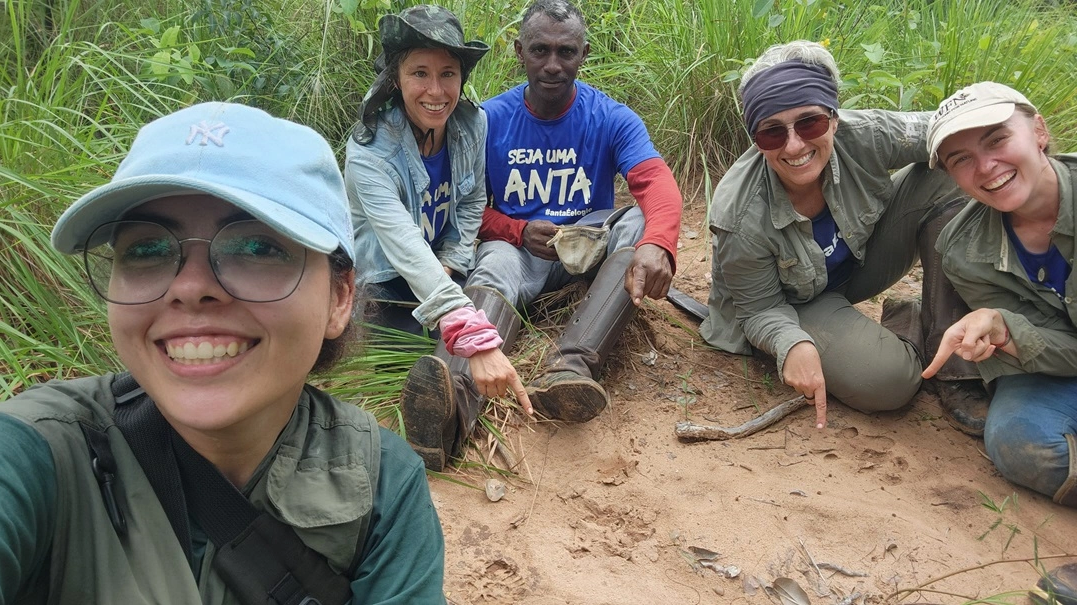 FAUNA NEWS Pesquisadores batem o martelo: a anta não está extinta na Caatinga