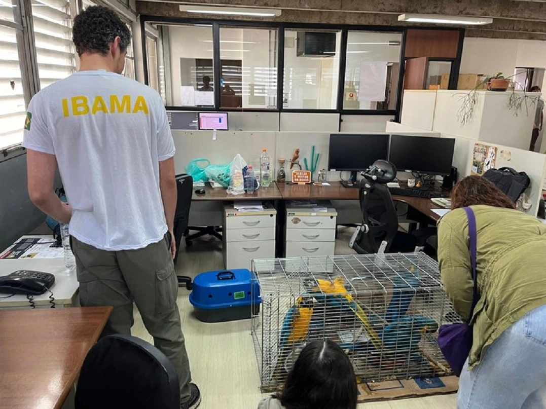 FAUNA NEWS Ibama transfere animais do Rio Grande do Sul para São Paulo
