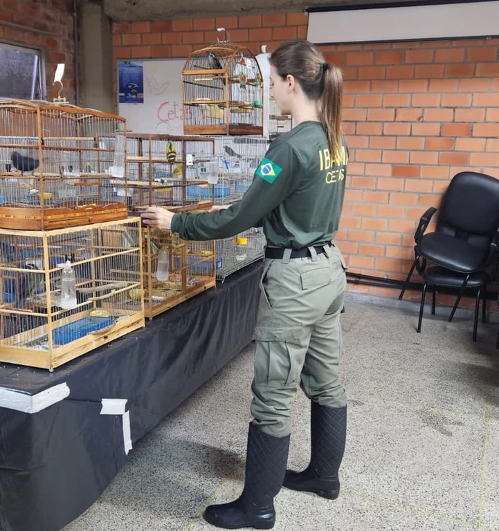 FAUNA NEWS Cetas do Ibama em Porto Alegre (RS) atende animais em sede provisória
