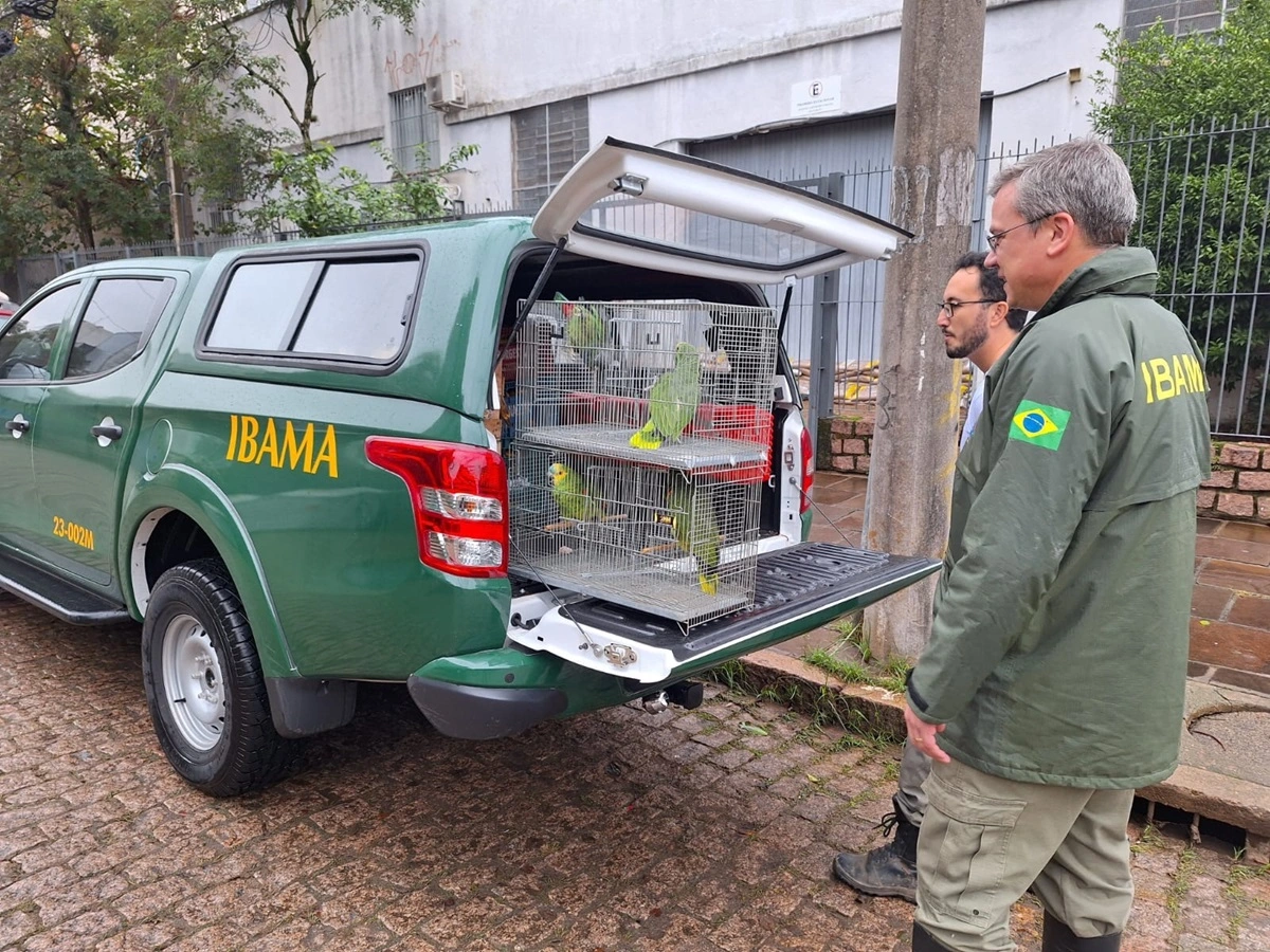 FAUNA NEWS Ibama evacua centro de atendimento de fauna em Porto Alegre (RS)