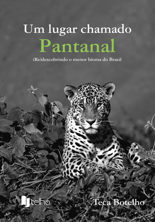 FAUNA NEWS Especialistas se reúnem para discutir conservação no Pantanal