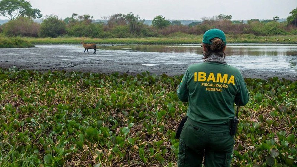 FAUNA NEWS Fiscalização ambiental: norma penal em branco e corrupção normativa