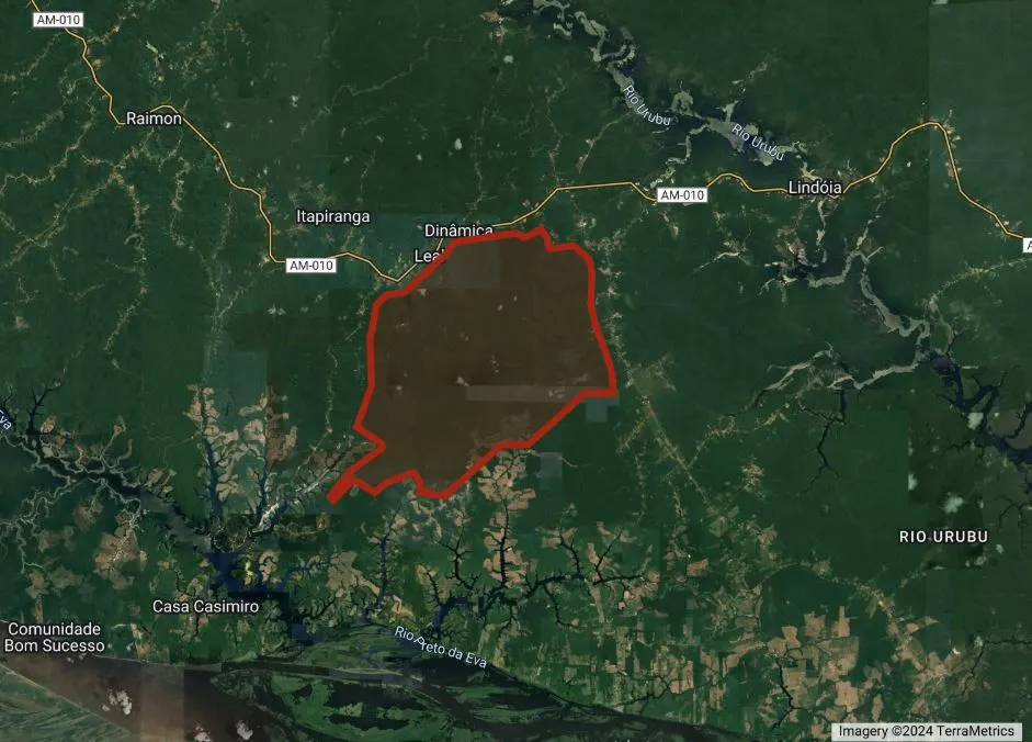 FAUNA NEWS O ameaçado sauim-de-coleira ganha unidade de conservação no Amazonas