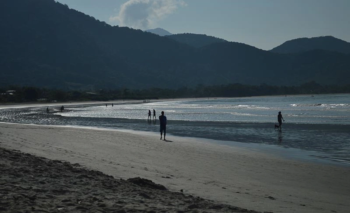 FAUNA NEWS Peixes e praias de Ubatuba (SP) estão contaminados com microplásticos