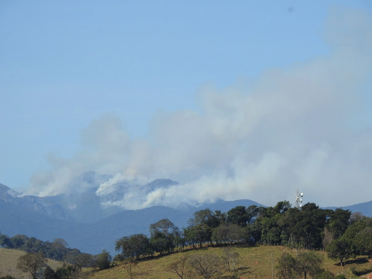 FAUNA NEWS Incêndio em Itatiaia: o choro da garrincha-chorona pode ficar na saudade