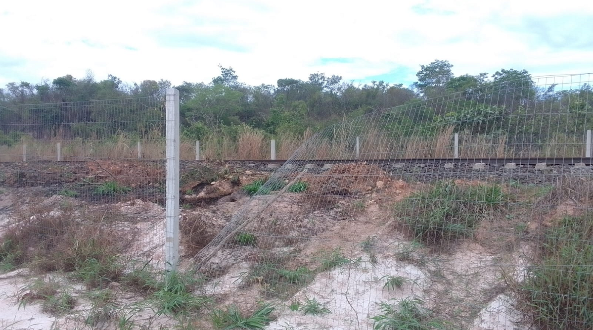 FAUNA NEWS Desafios das concessões ferroviárias brasileiras para mitigação do atropelamento de fauna