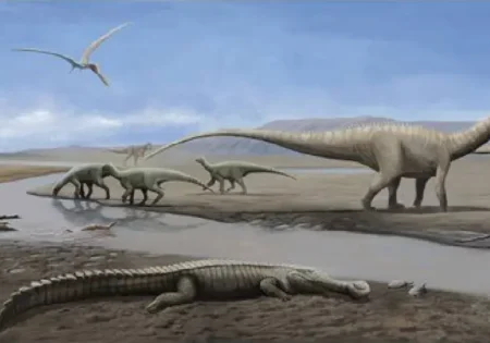 FAUNA NEWS Novos dinossauros no Brasil: Tietasaura derbyiana e Tiamat valdecii