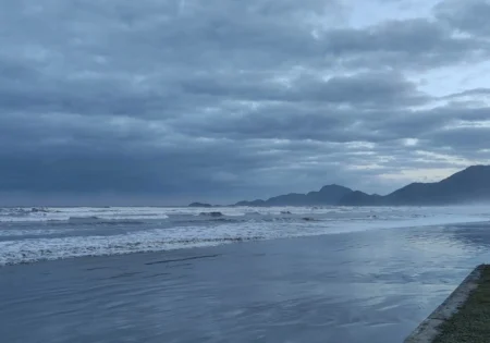 FAUNA NEWS A minha praia e a praia do macaco