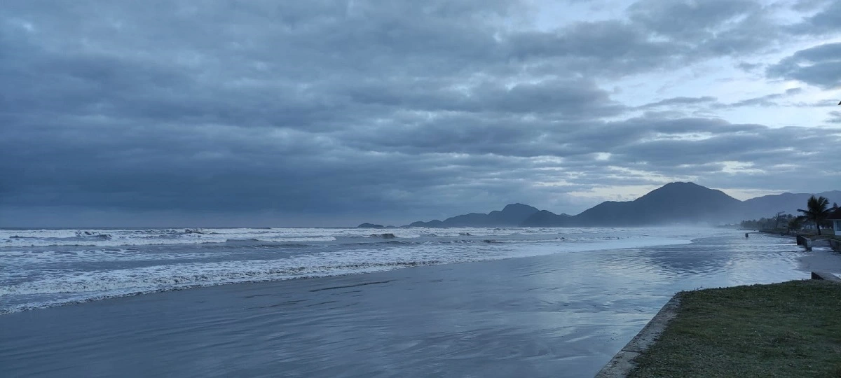 FAUNA NEWS A minha praia e a praia do macaco