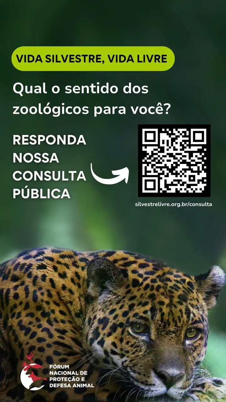 FAUNA NEWS ONG promove pesquisa para conhecer percepção social sobre zoológicos