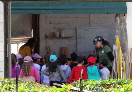 FAUNA NEWS Educação ambiental na desértica paisagem educacional do Brasil