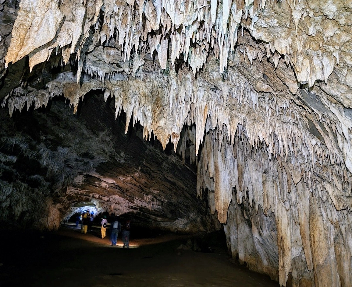 FAUNA NEWS Aracnídeos fantásticos e seus hábitats: cavernas