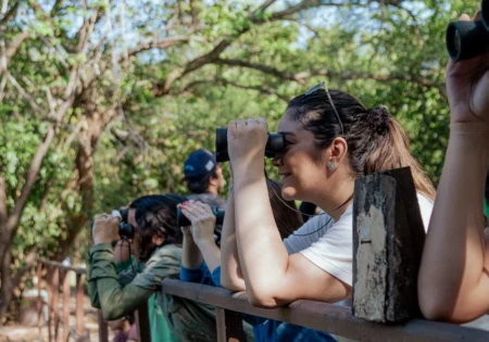 FAUNA NEWS Birdwatching: lançado Guia de Aves do Ceará