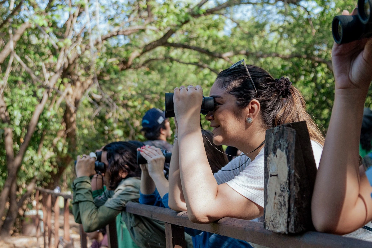 FAUNA NEWS Birdwatching: lançado Guia de Aves do Ceará