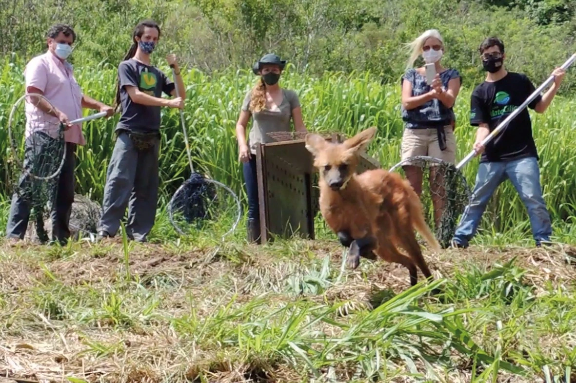 FAUNA NEWS Encontro de centros de triagem e reabilitação de fauna começa amanhã em SP