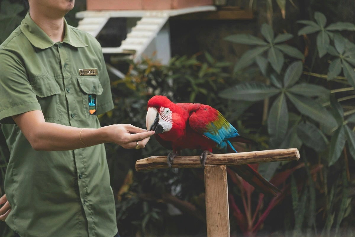 FAUNA NEWS A ausência de estudos de Ética e Direito Ambiental e um novo tipo de traficante de animais