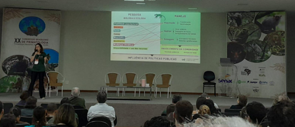 FAUNA NEWS As pesquisas sobre o mico-leão-da-cara-preta no Congresso Brasileiro de Primatologia