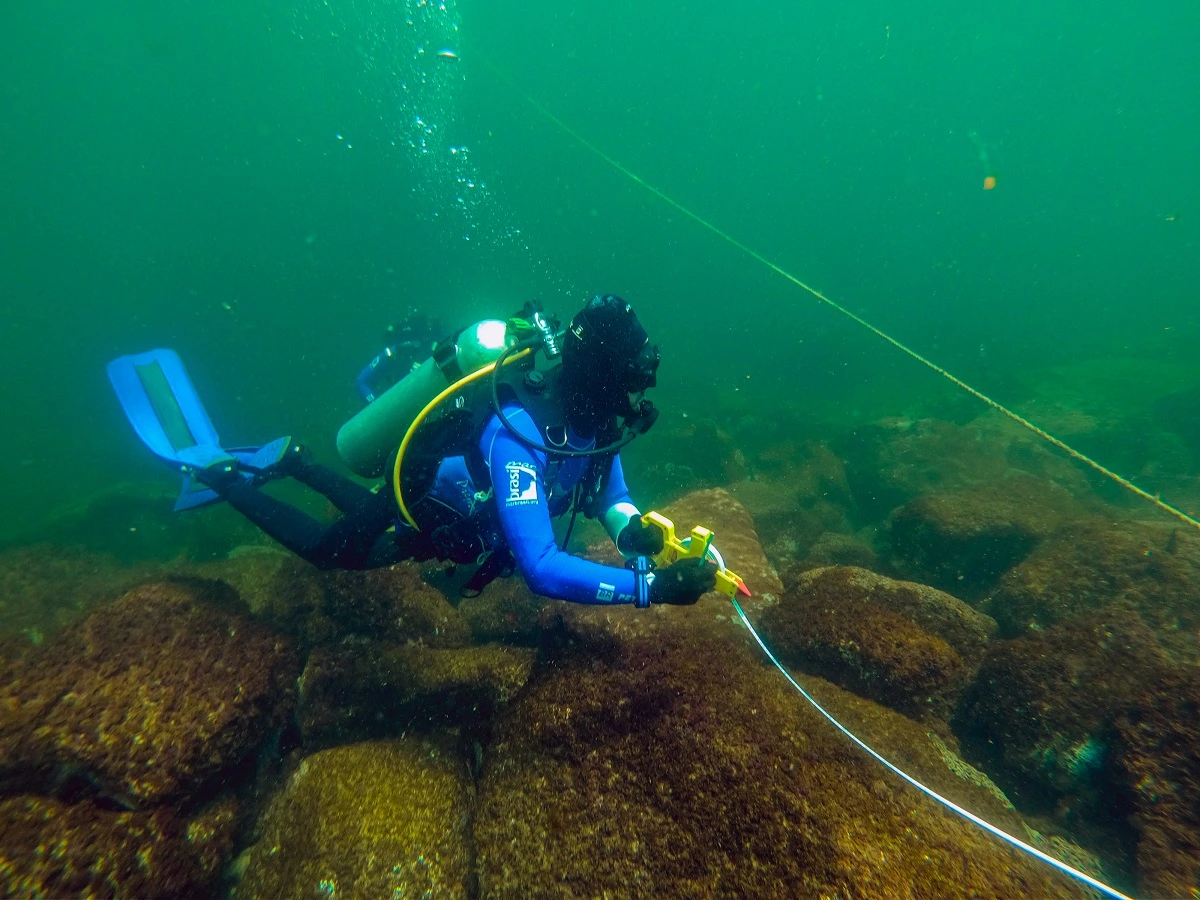 FAUNA NEWS O mundo submerso do litoral do Paraná