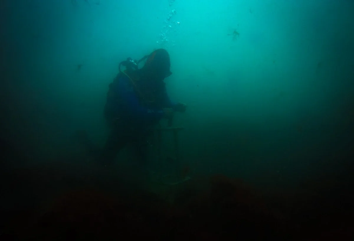 FAUNA NEWS O mundo submerso do litoral do Paraná