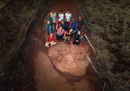 FAUNA NEWS Pegadas encontradas na Paraíba são de nova espécie de dinossauro