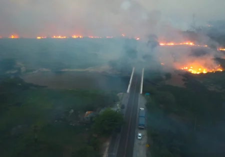 FAUNA NEWS Na rota do fogo: a influência das estradas e da ação humana nos incêndios florestais