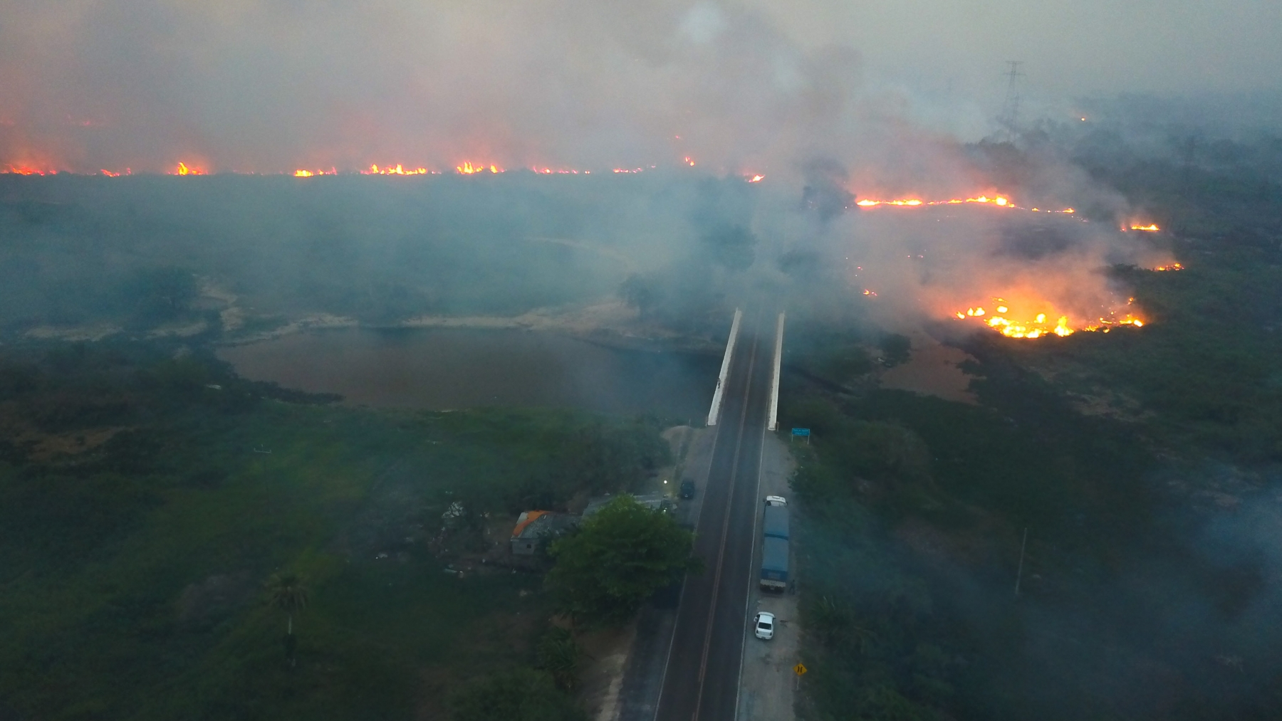 FAUNA NEWS Na rota do fogo: a influência das estradas e da ação humana nos incêndios florestais