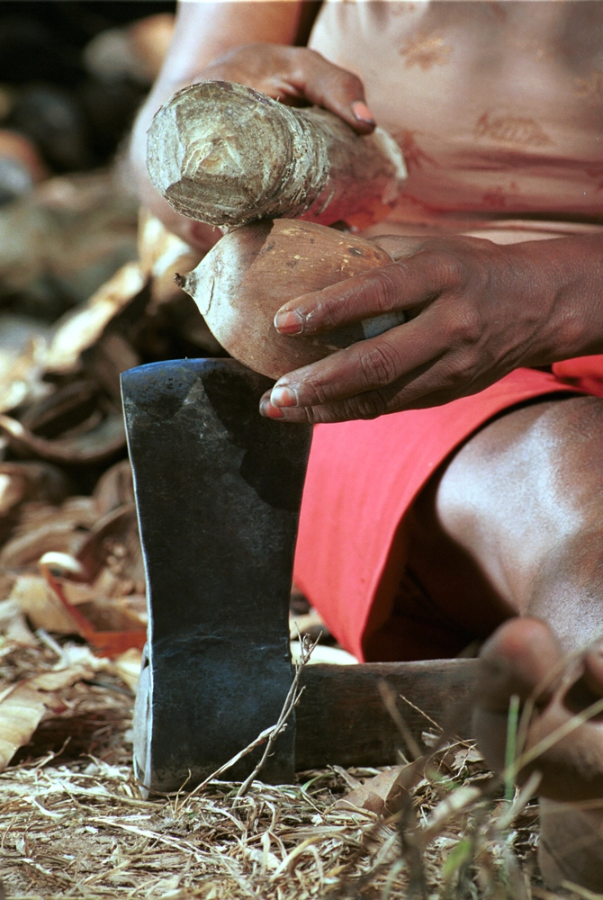 FAUNA NEWS As quebradeiras de coco-babaçu: um conto sobre Ecofeminismo e Capitalismo Patriarcal 