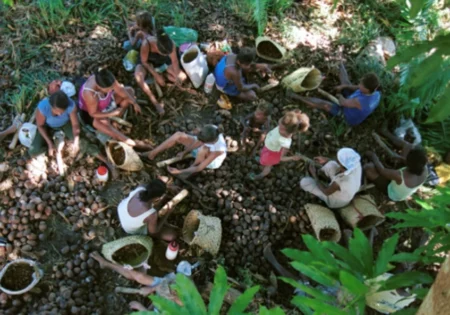 FAUNA NEWS As quebradeiras de coco-babaçu: um conto sobre Ecofeminismo e Capitalismo Patriarcal