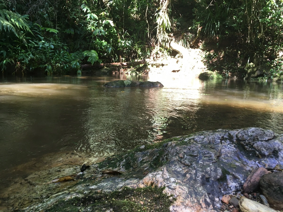 FAUNA NEWS Educação ambiental aplicada a uma visitação em Unidade de Conservação