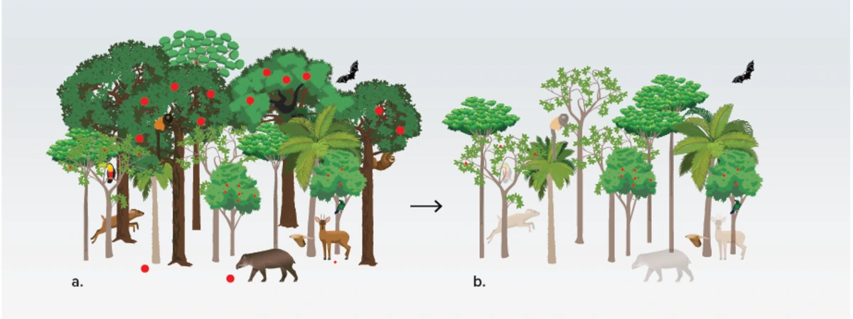 FAUNA NEWS Crise da biodiversidade: relatório aponta para pontos de não retorno para ecossistemas