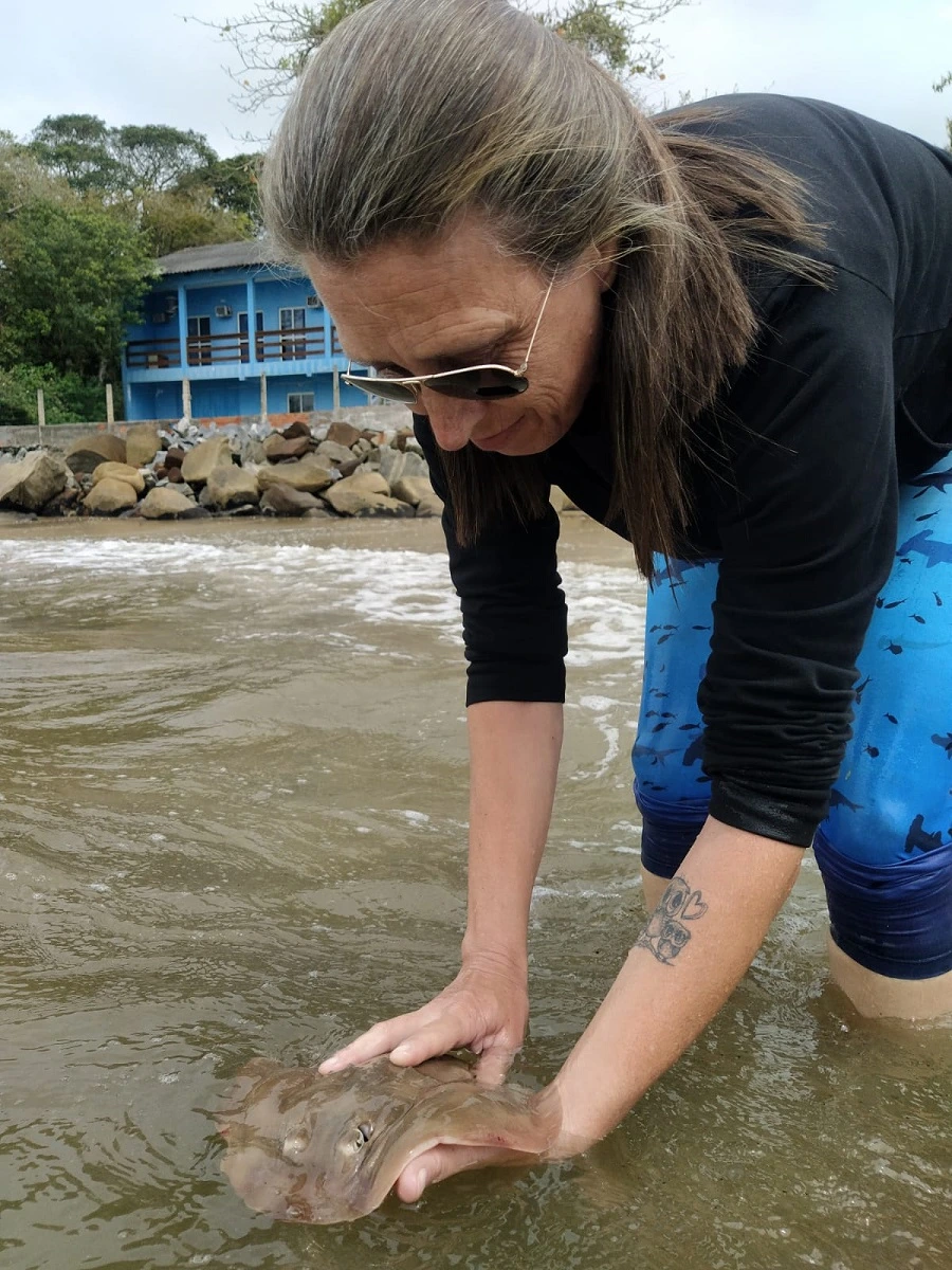 FAUNA NEWS Na “raia” da conservação: a união de pesquisadores e pescadores pelas raias