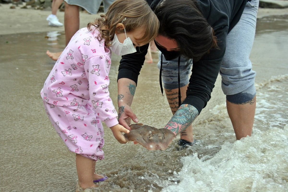 FAUNA NEWS Na “raia” da conservação: a união de pesquisadores e pescadores pelas raias