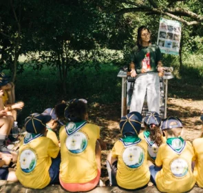 FAUNA NEWS Mato do Júlio: educação ambiental e conservação pela última floresta de Cachoeirinha (RS)