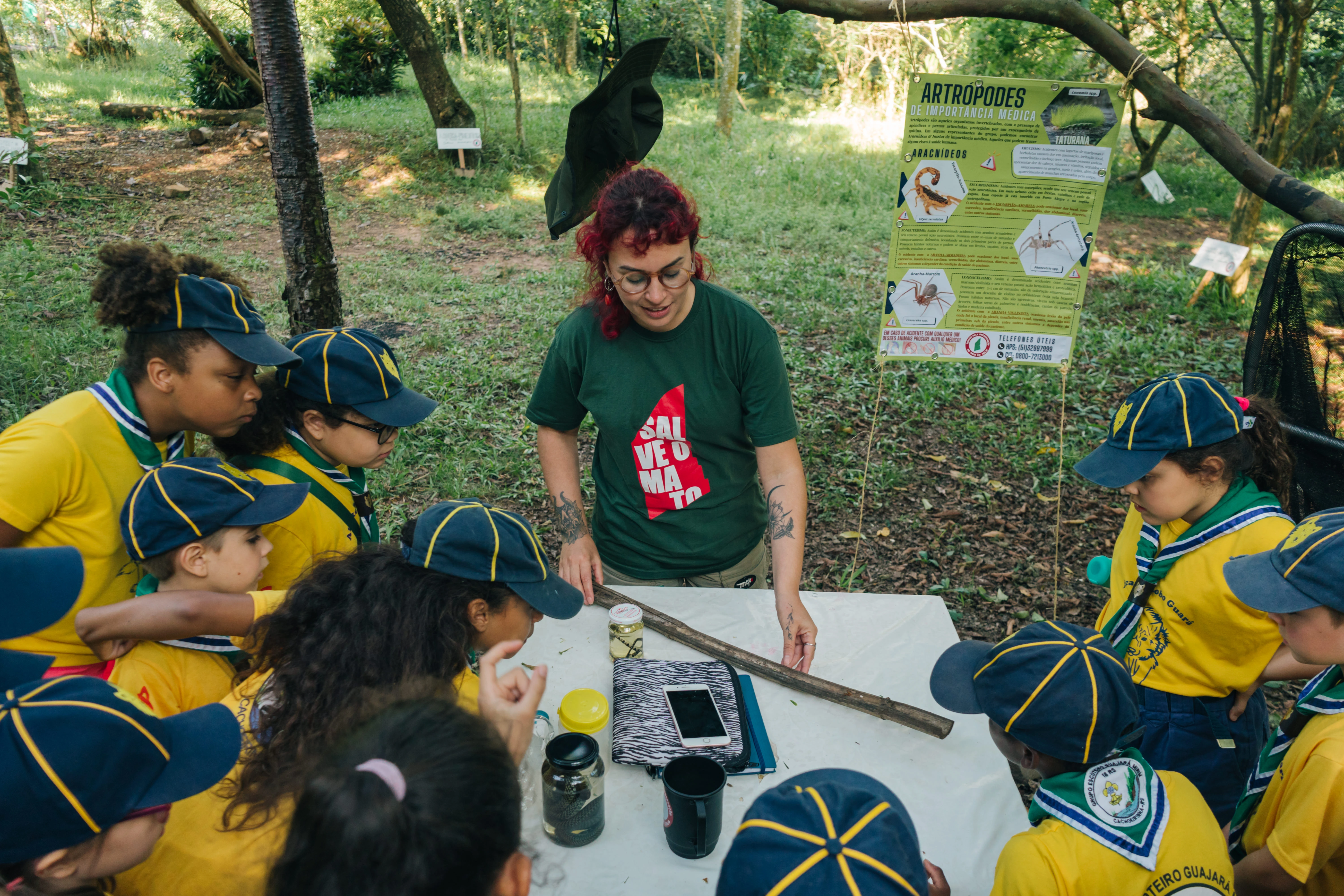 FAUNA NEWS Mato do Júlio: educação ambiental e conservação pela última floresta de Cachoeirinha (RS)