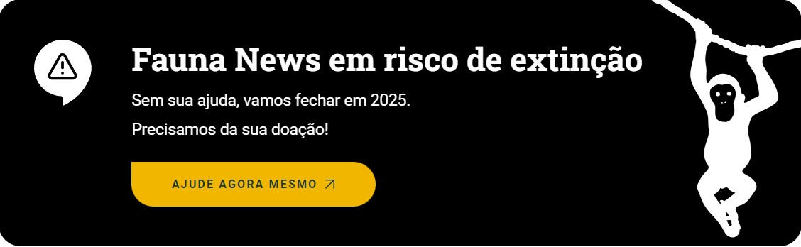 FAUNA NEWS O Fauna News pode fechar em 2025: precisamos da sua ajuda