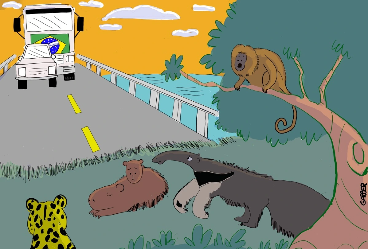 FAUNA NEWS Novas infraestruturas potencializam impactos em um Pantanal ameaçado